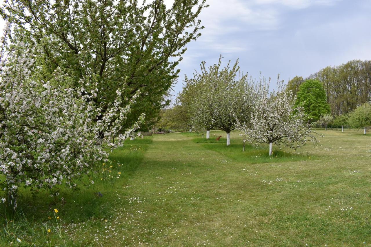 Le Verger Du Patagon Limelette Bagian luar foto